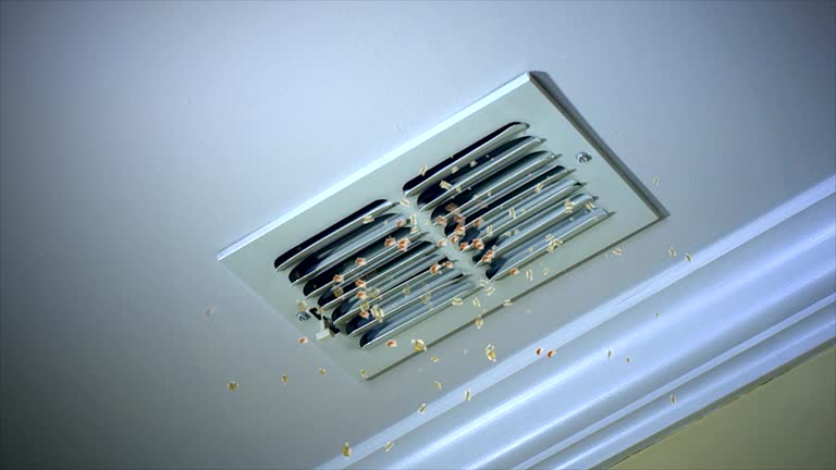 Best HVAC System Cleaning  in Belmont, MS